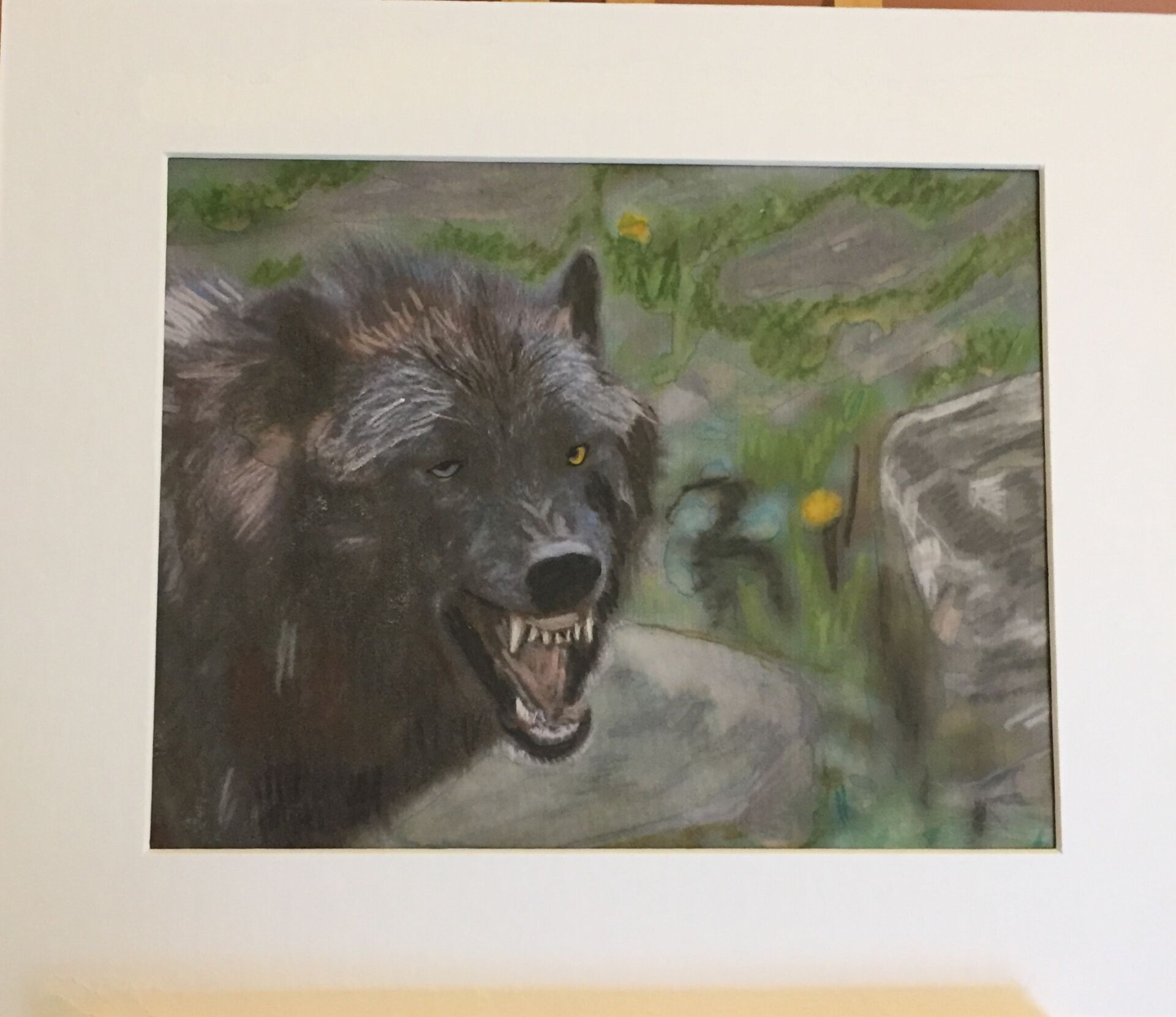 Grumpy black wolf Art Gallery SW Ltd