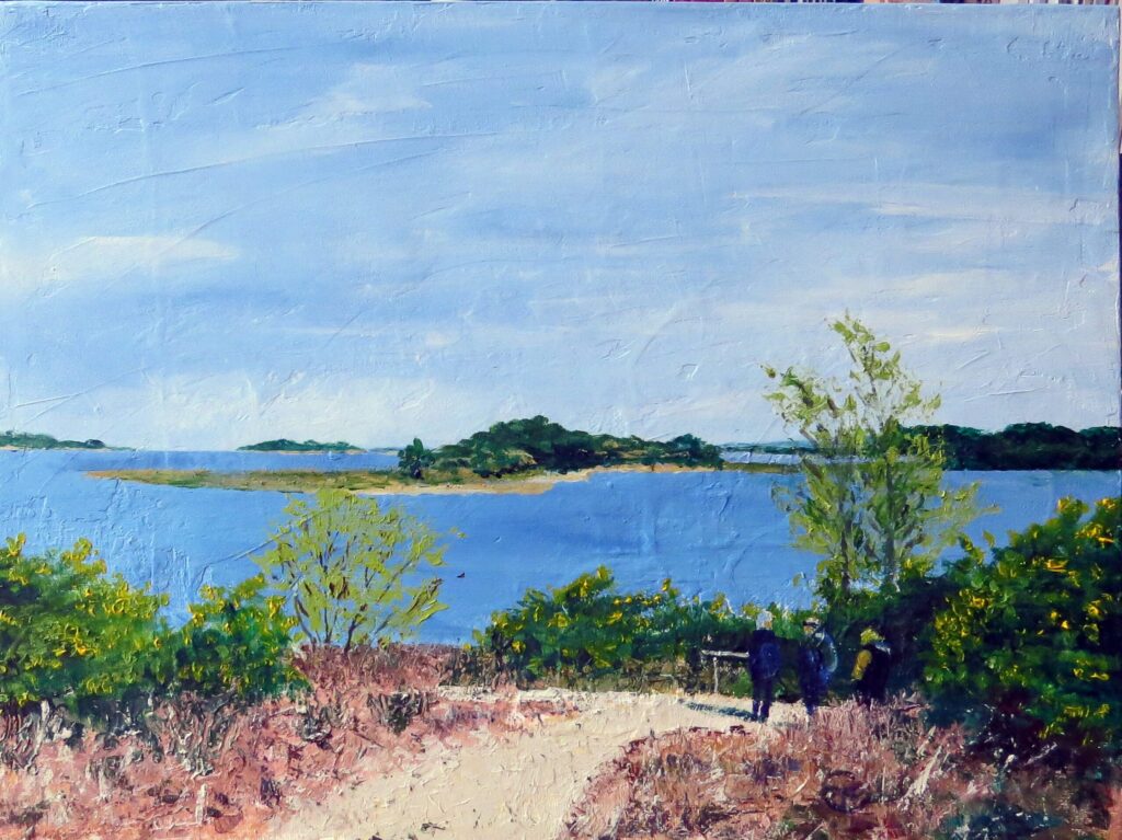 poole-harbour-rspb-arne-art-gallery-sw